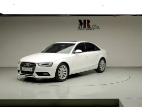 Audi A4 A4 30 Tdi Dynamic B8