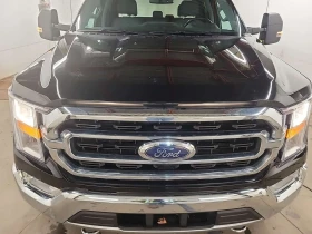 Ford F150 * XL * 4WD * SuperCrew 5.5ft * CARFAX  - 27100 € / 53002.99 лв. - 93136100 7