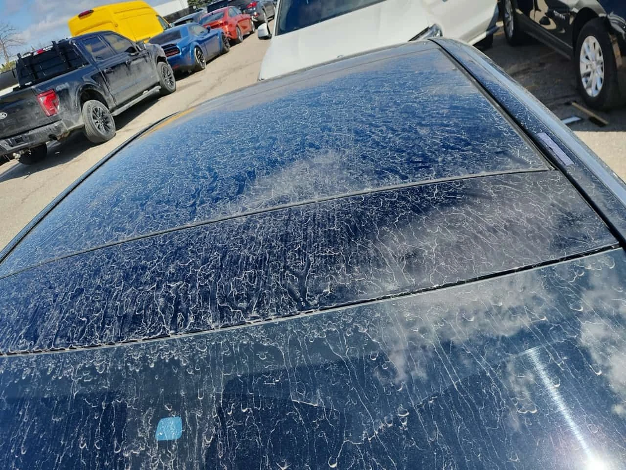 Mercedes-Benz C 300 АМГ ПАКЕТ/CARFAX/ПОДГРЕВ/ПАНОРАМА/, снимка 5 - Автомобили и джипове - 54459638