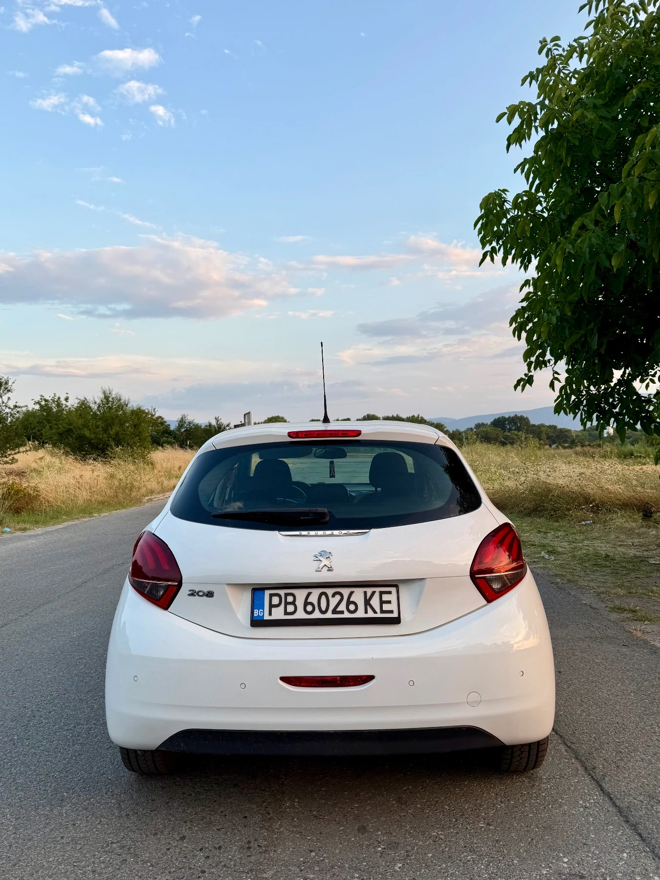 Peugeot 208, снимка 5 - Автомобили и джипове - 55408107
