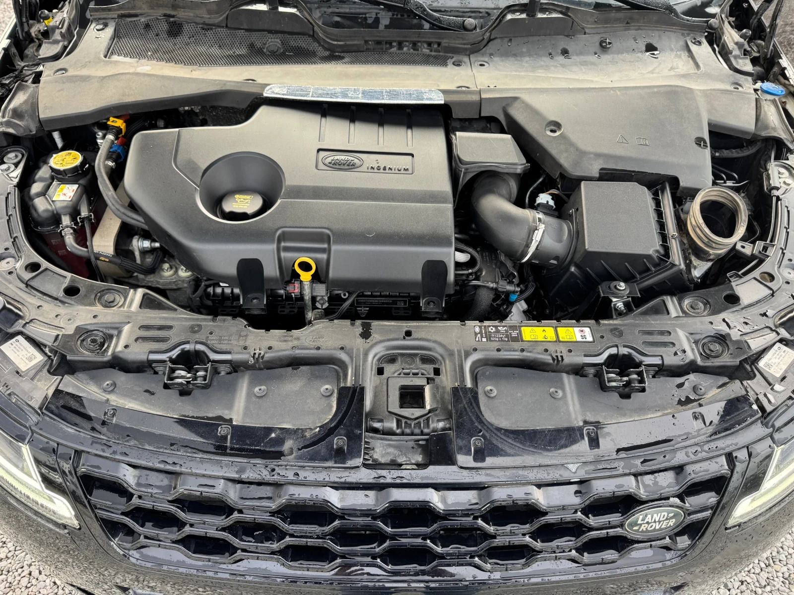 Land Rover Range Rover Evoque HYBRID * ����* ������* 2.0TD 150hp* DIGITAL*  | Mobile.bg � ����������� 17