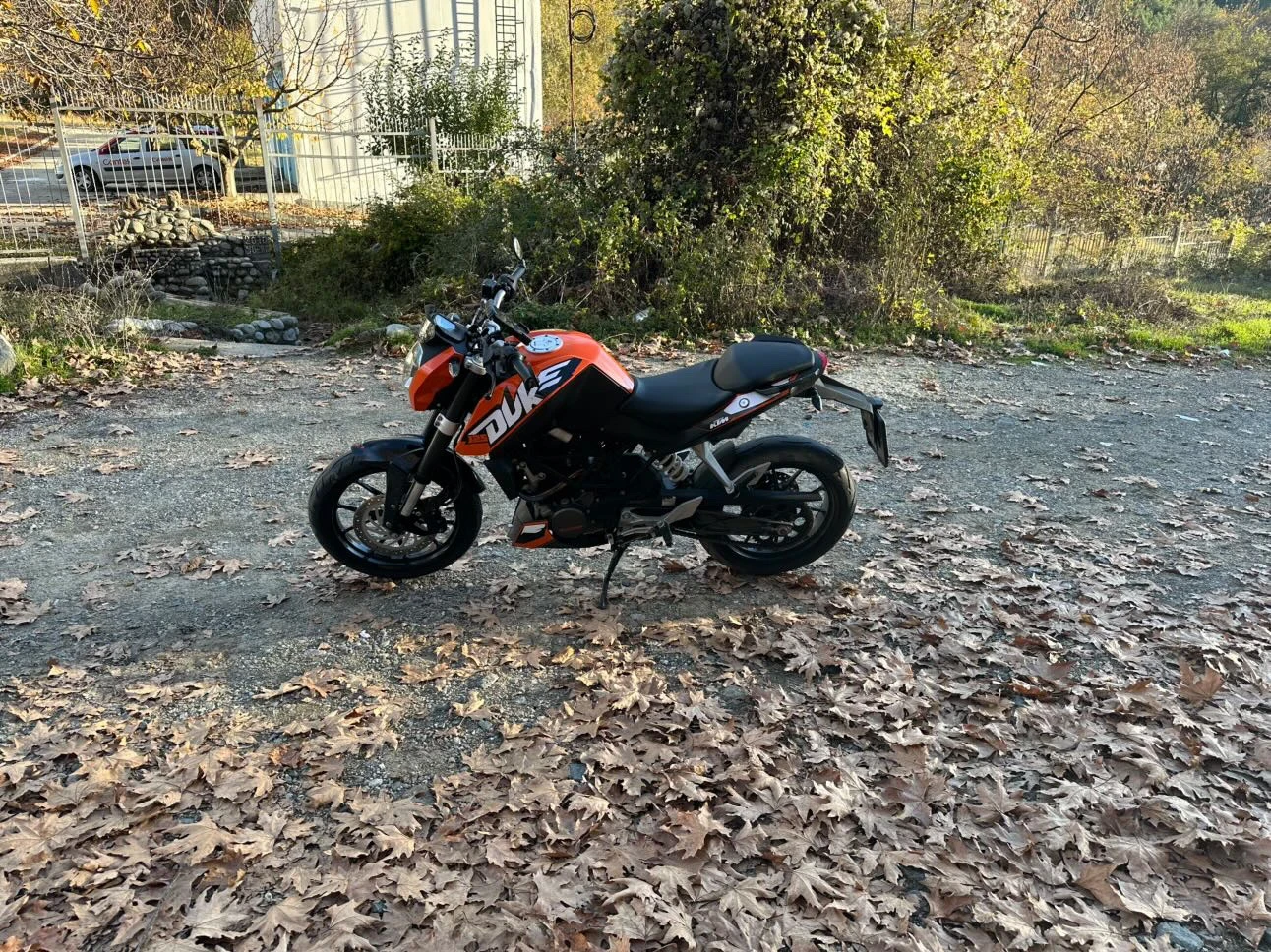 Ktm Duke  - изображение 3