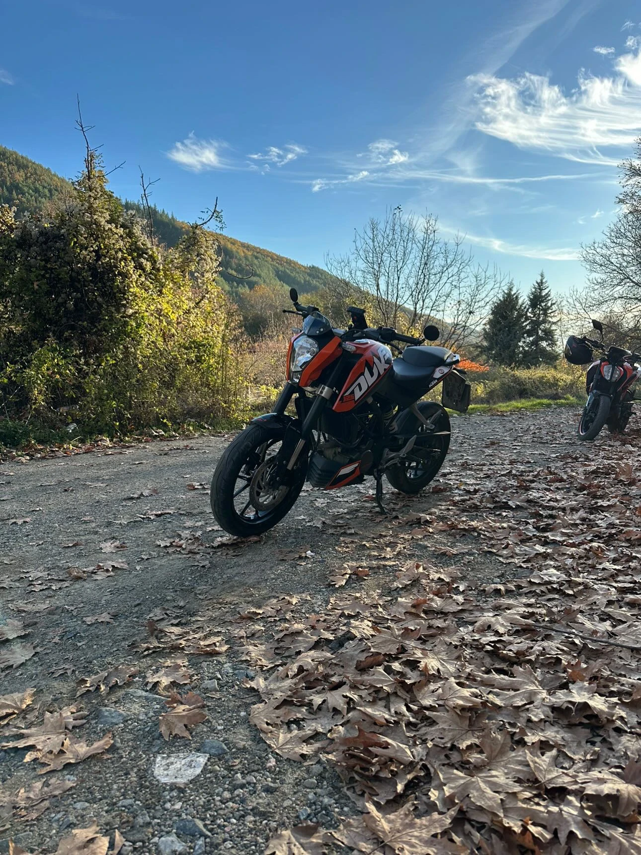 Ktm Duke  - изображение 2