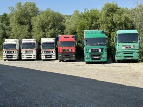     Man Tgx