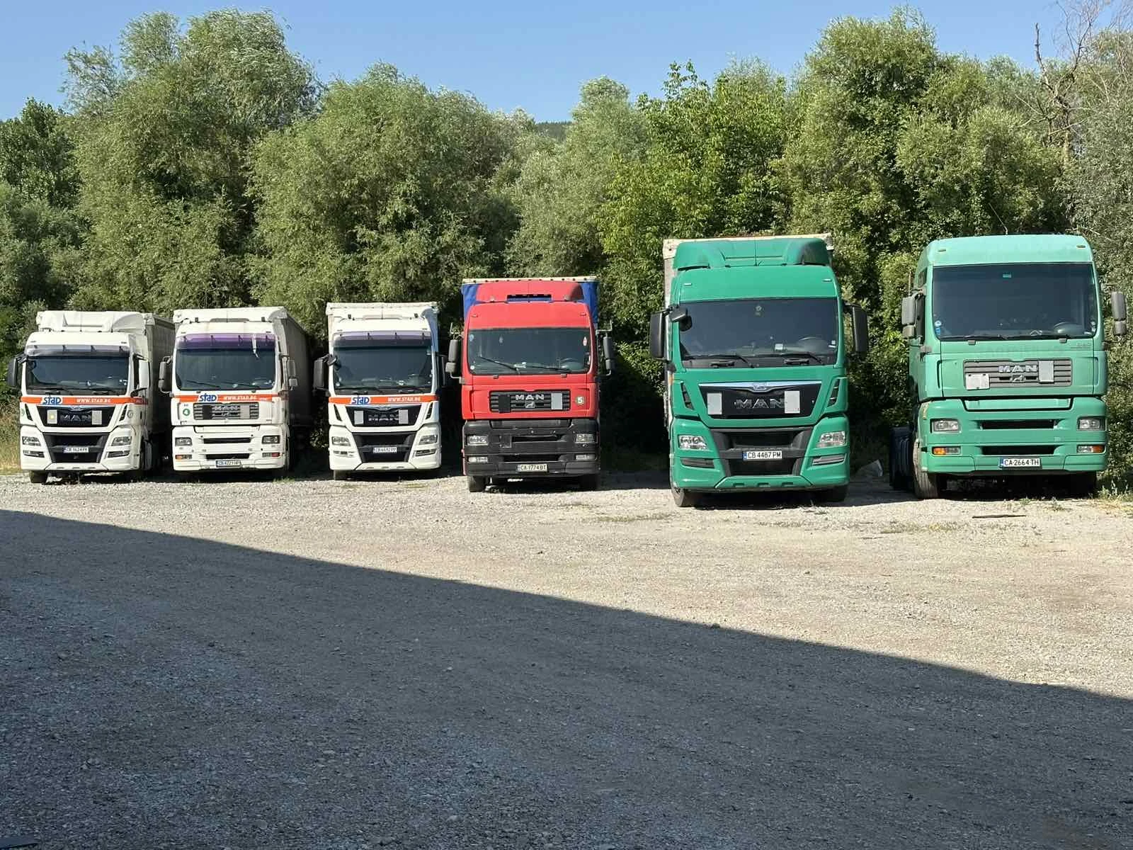 Man Tgx    | Mobile.bg   1