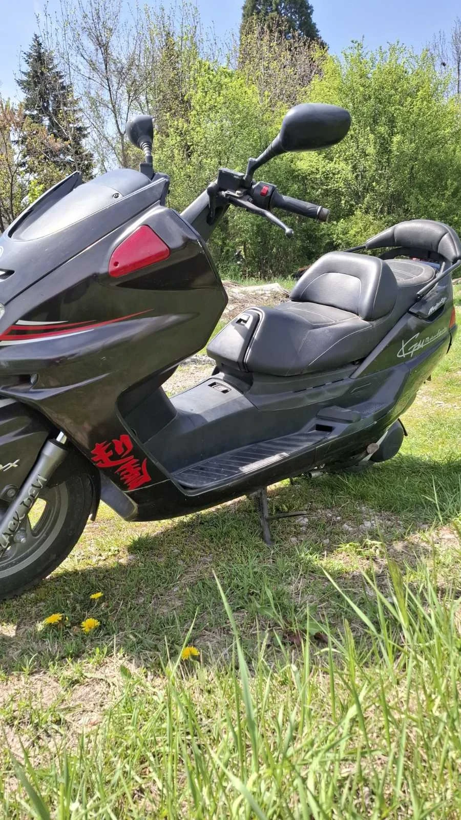 Yamaha Majesty Ямаха Маджести 250 - изображение 2