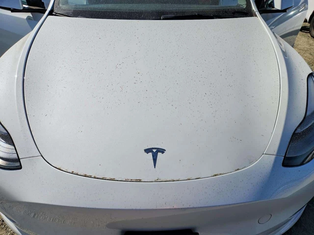 Tesla Model Y Long Range Dual Motor / Carfax  | Mobile.bg � ����������� 11