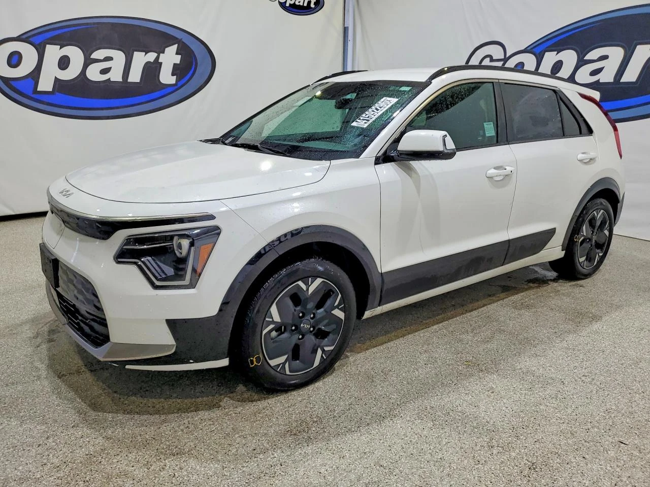 Kia Niro 0.0l Ev Wind
