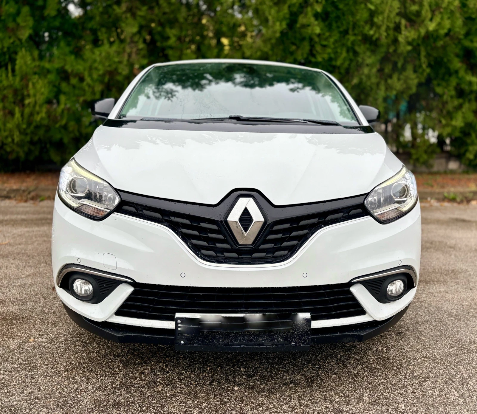 Renault Scenic 1.7dCI AUT/SERVICE HISTORY/LIMITED/NAVI | Mobile.bg   2