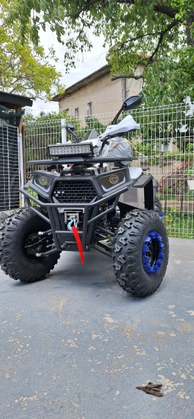     Telstar Sport