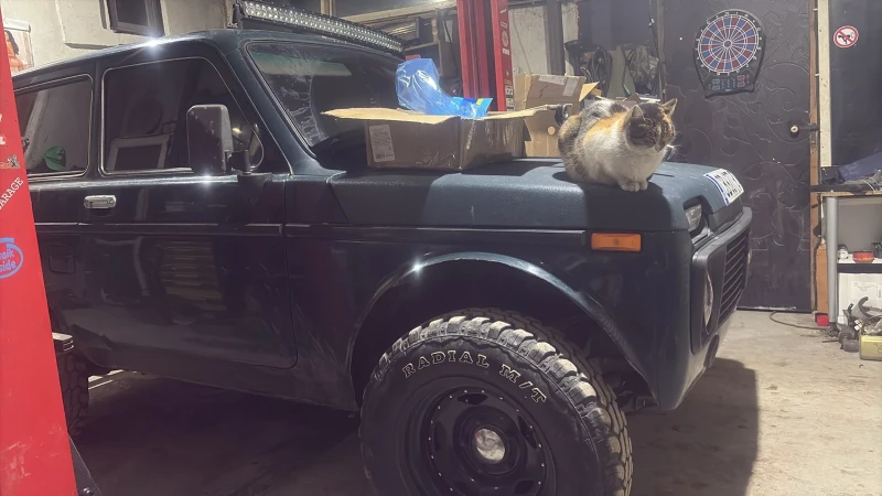 Lada Niva, снимка 3 - Автомобили и джипове - 53298890