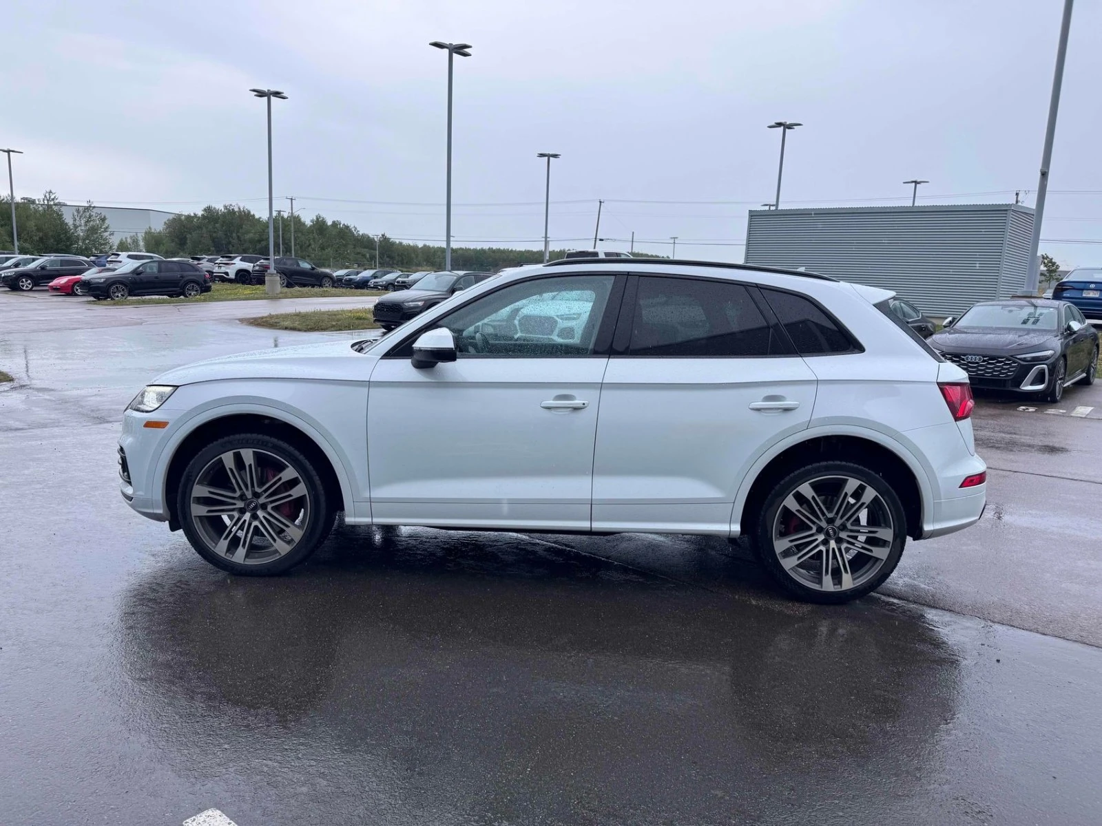 Audi SQ5 TECHNIK ЦЕНА ДО БЪЛГАРИЯ РЕГИСТРАЦИЯ & АВТОКРЕДИТ, снимка 3 - Автомобили и джипове - 55486651