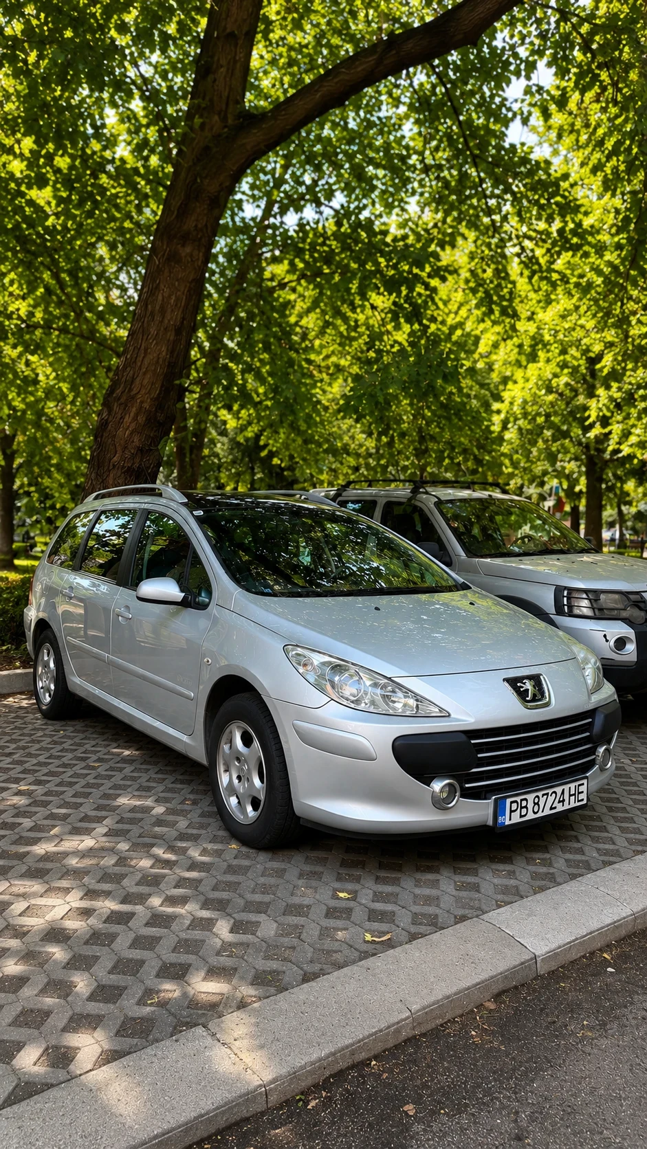 Peugeot 307, снимка 2 - Автомобили и джипове - 55080194