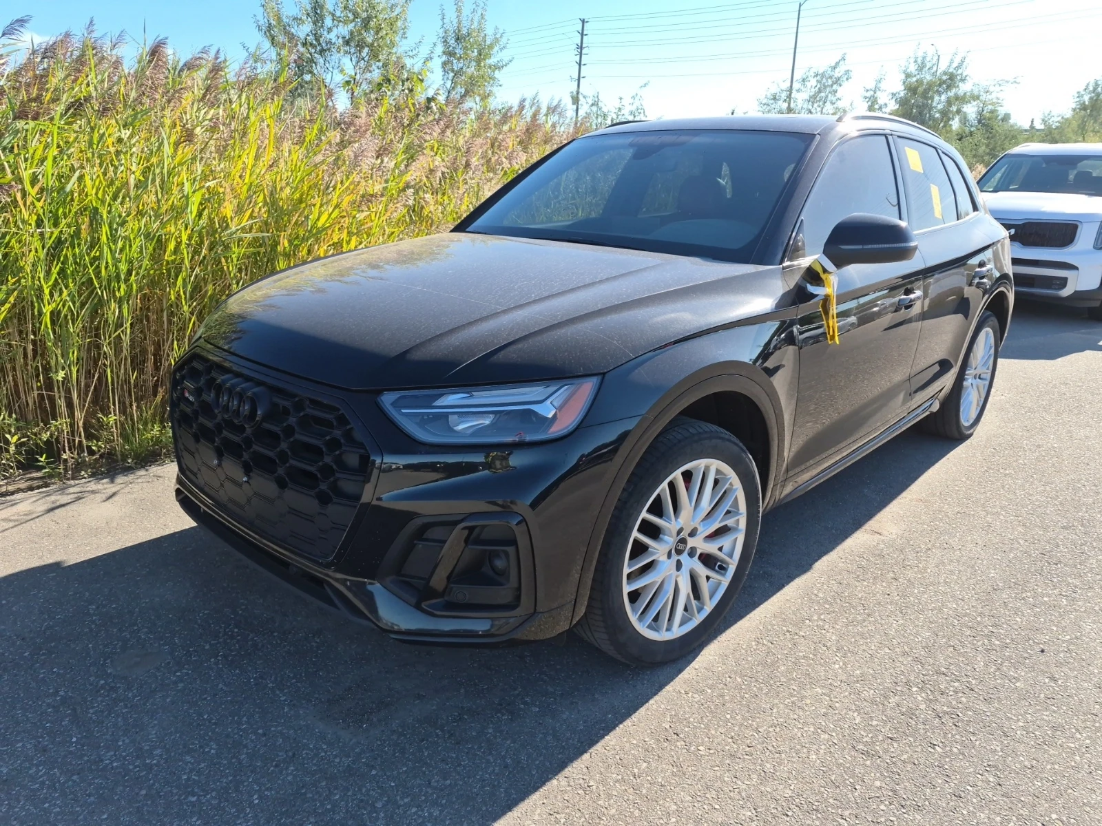 Audi SQ5 Progressiv, ������� ����, ���������� | Mobile.bg � ����������� 2