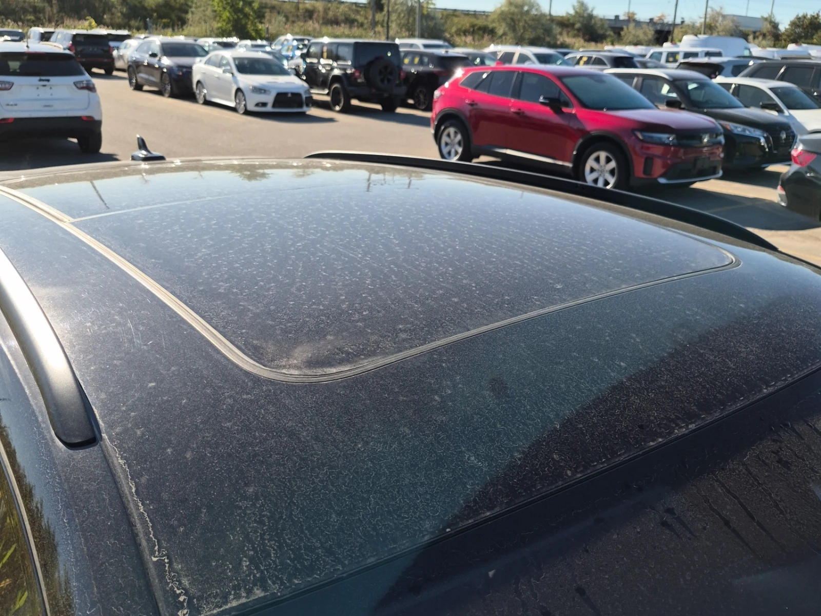 Audi SQ5 Progressiv, ������� ����, ���������� | Mobile.bg � ����������� 7
