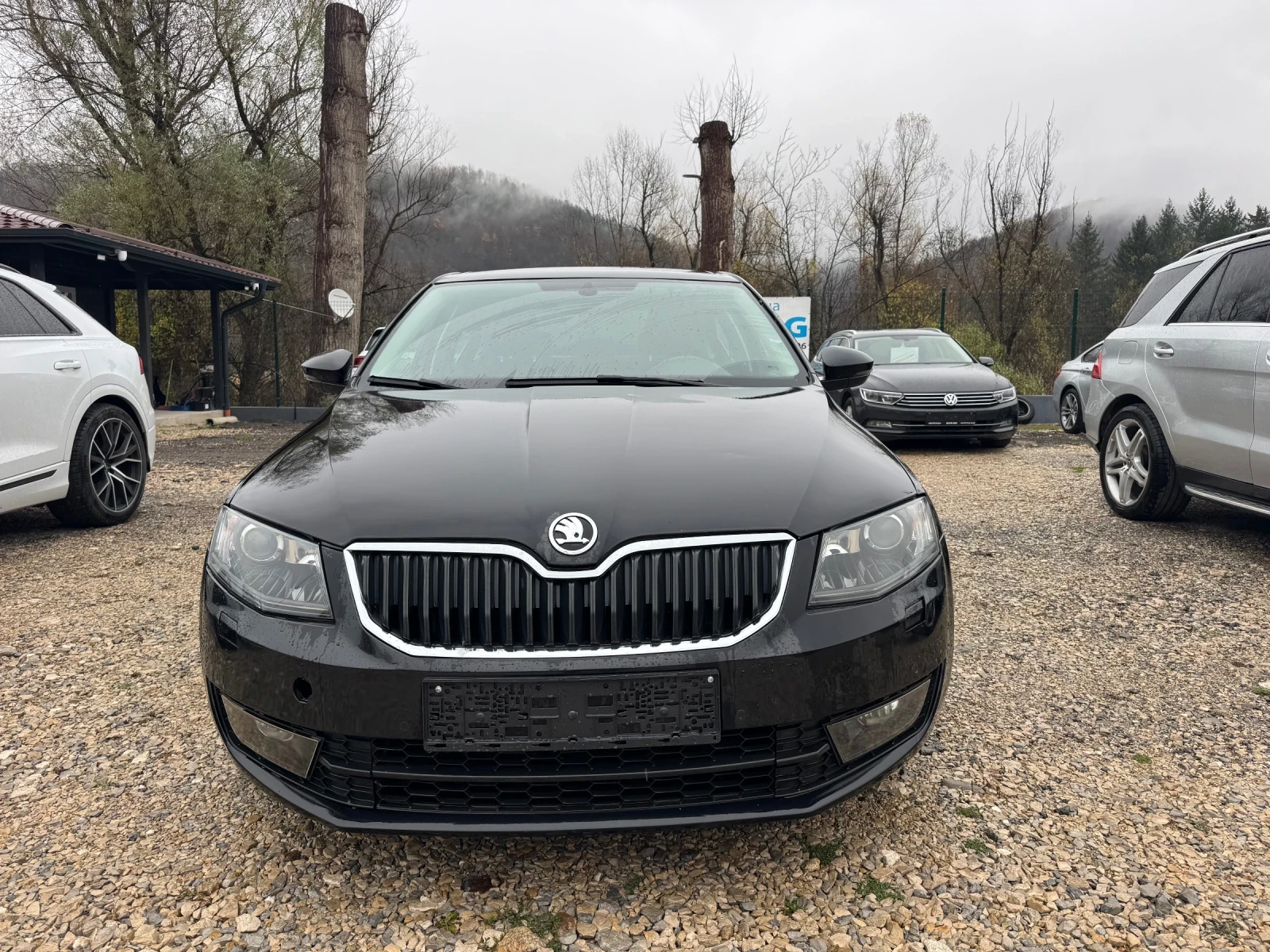 Skoda Octavia 1.6TDI DSG, снимка 1