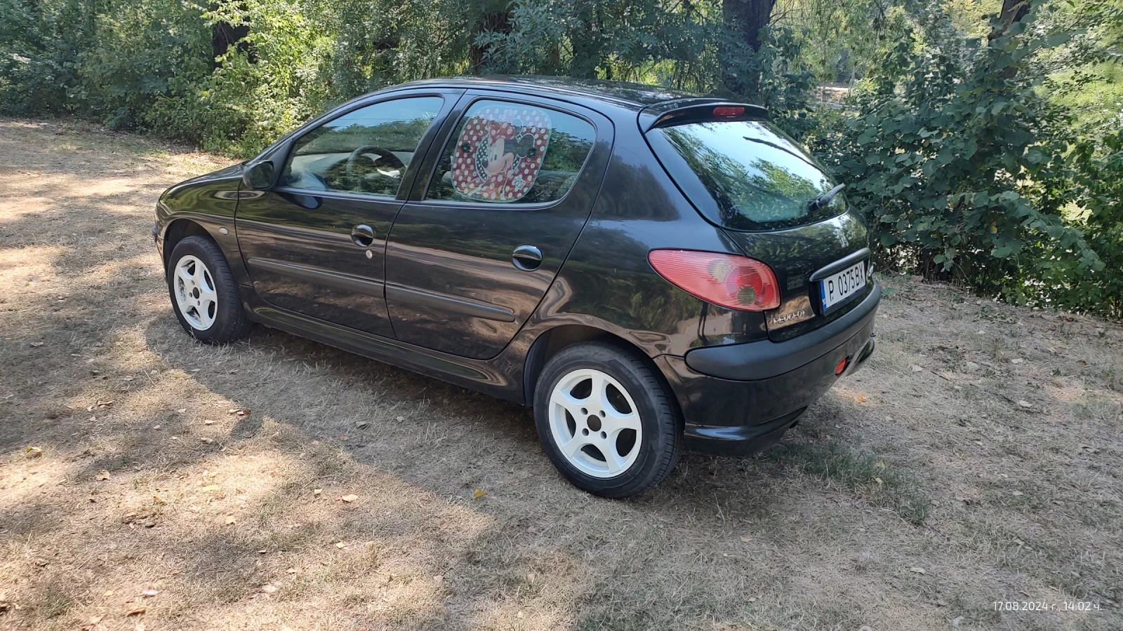 Peugeot 206 1.4 HDi - изображение 3