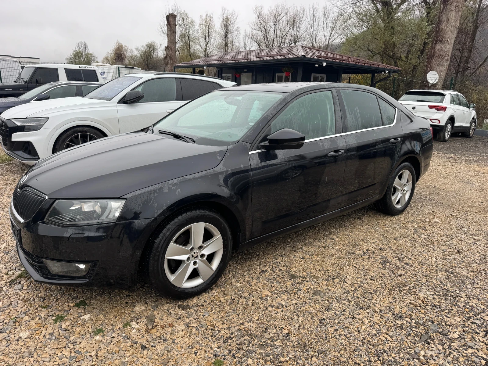 Skoda Octavia 1.6TDI DSG | Mobile.bg   10