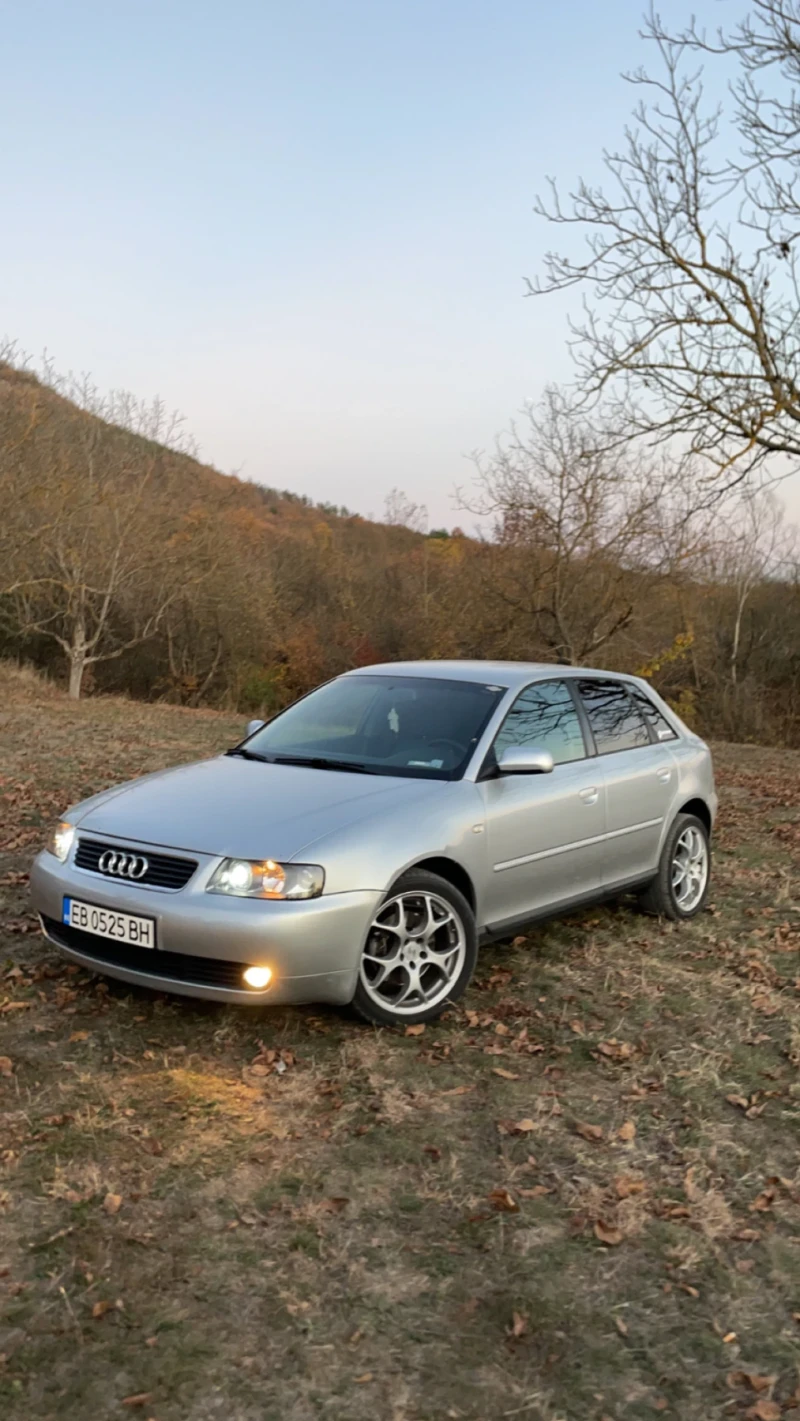 Audi A3 1.9 TDI, снимка 1 - Автомобили и джипове - 48351179