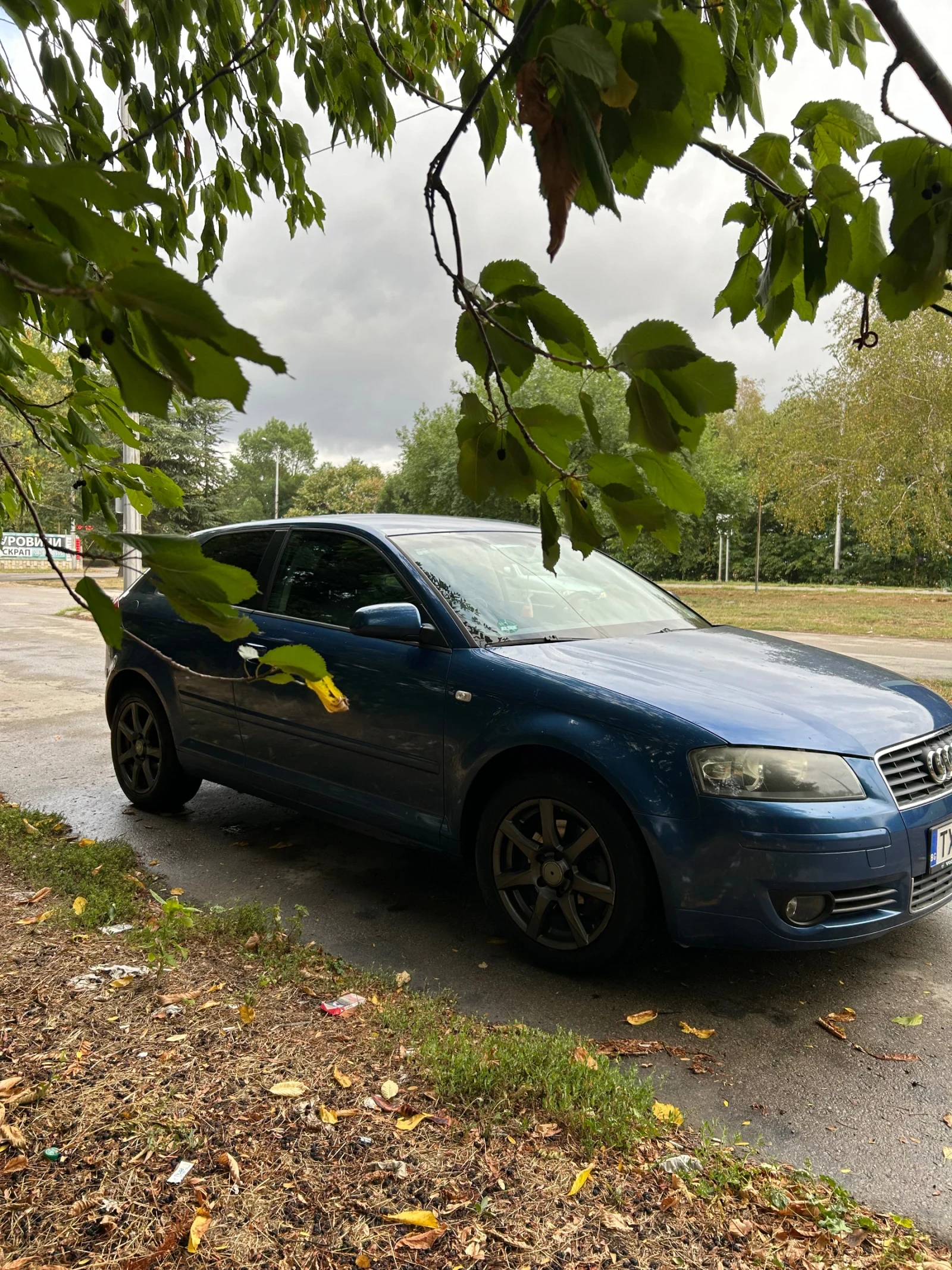 Audi A3 1.6 - изображение 4