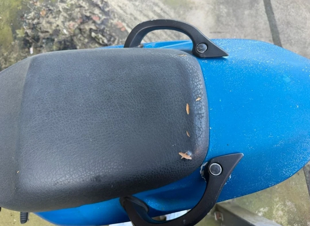 Kawasaki Zr Zr-7 внос Германия , снимка 5 - Мотоциклети и мототехника - 53876182