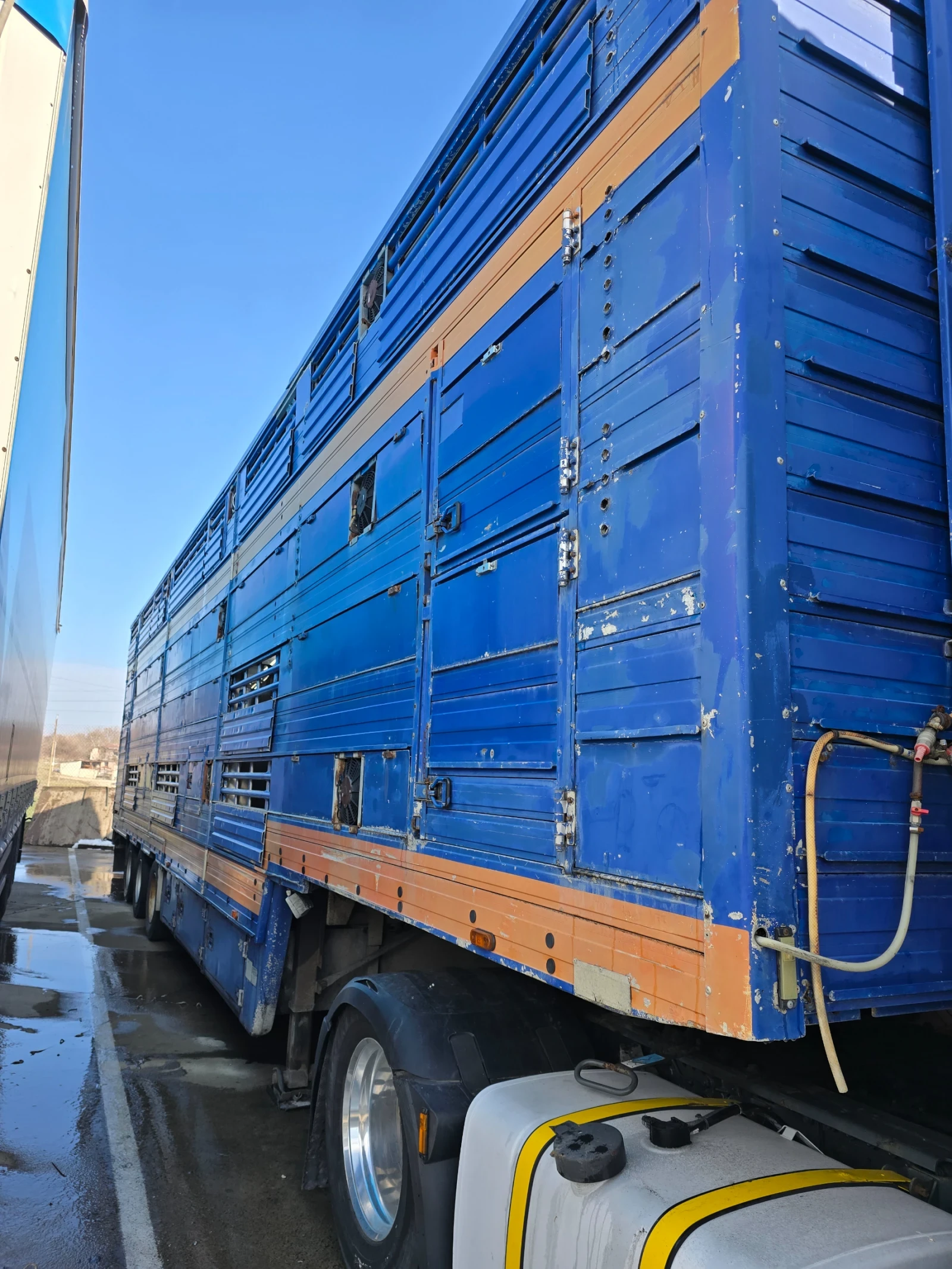  Pezzaioli | Mobile.bg   4