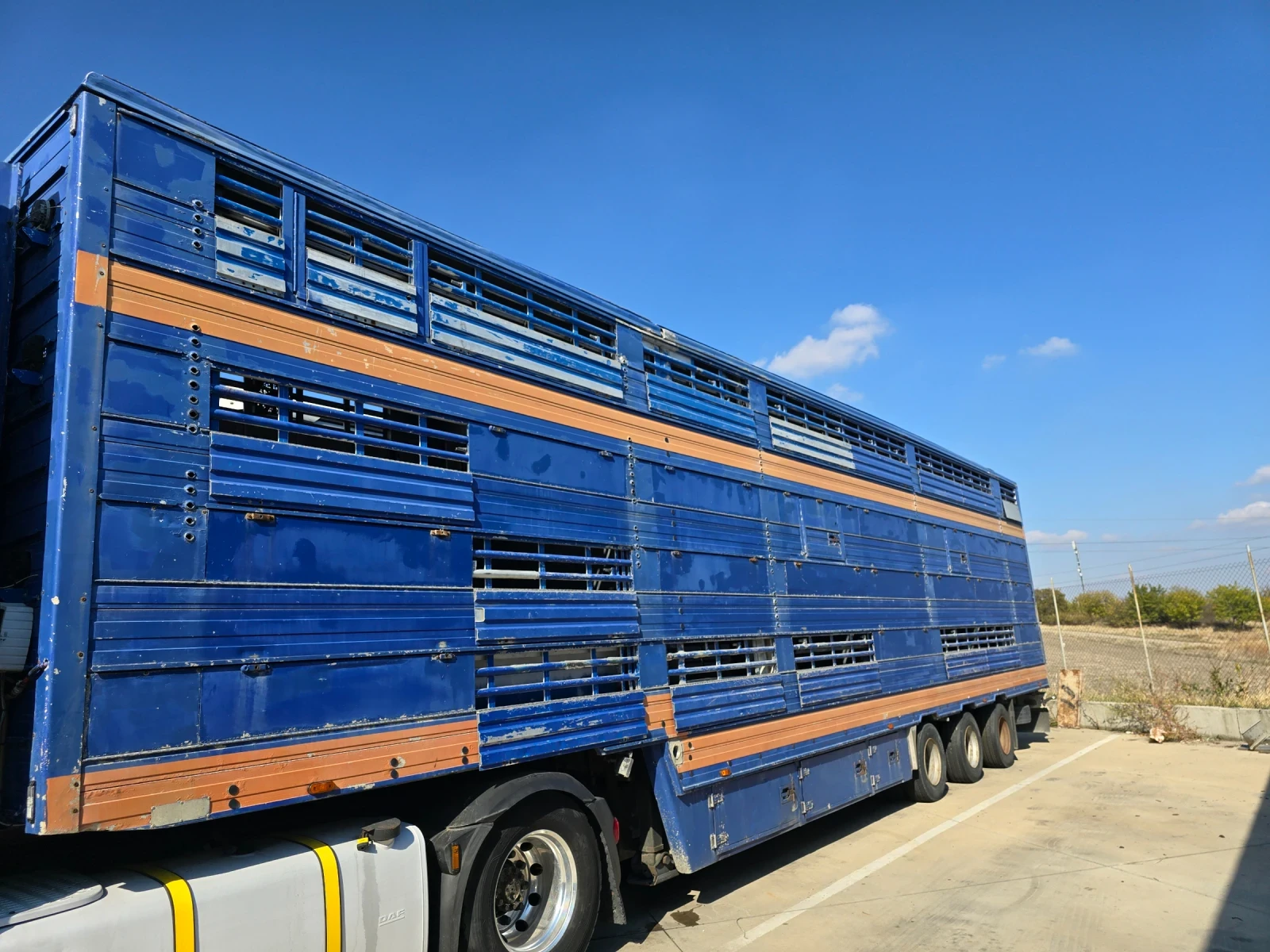  Pezzaioli | Mobile.bg   1