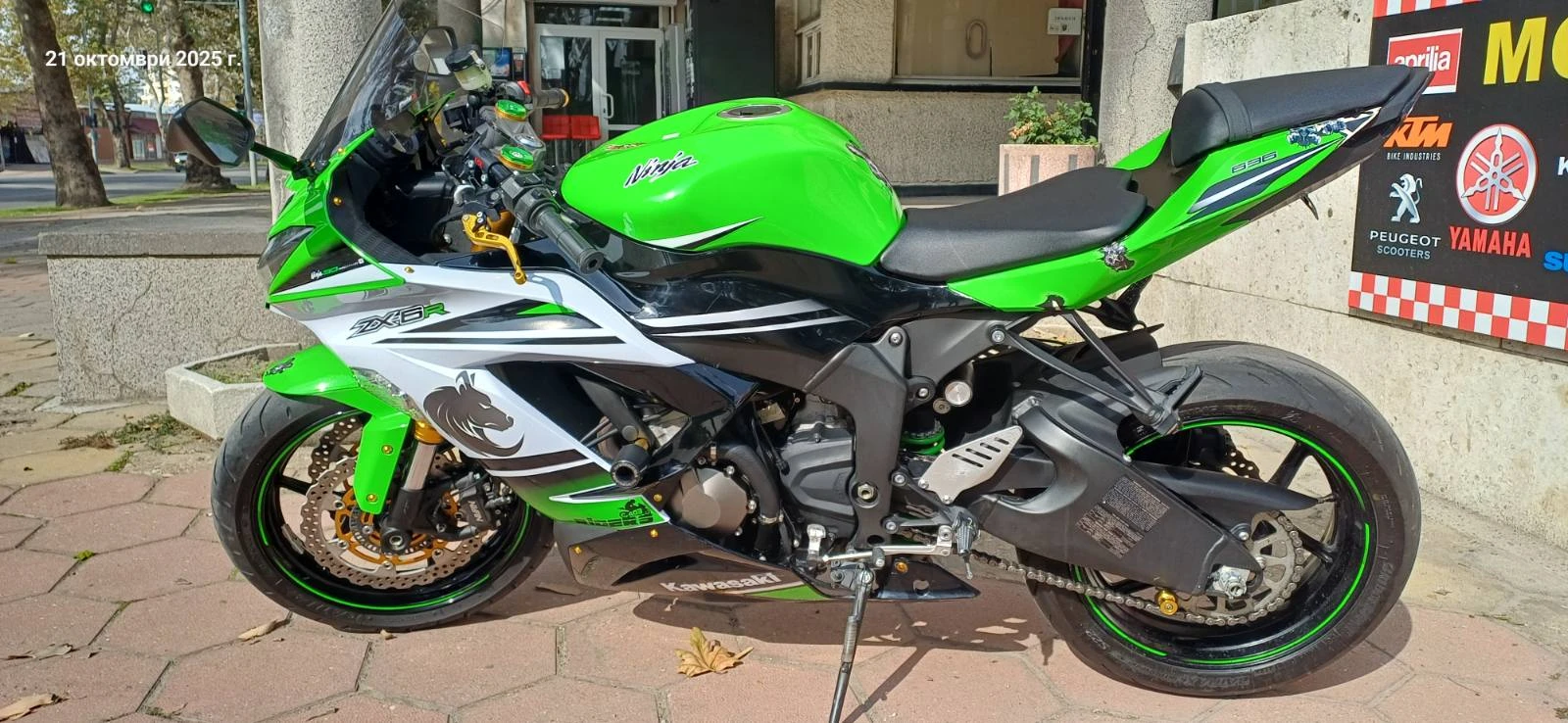 Kawasaki Zxr Ninja Anniversary edition - изображение 5