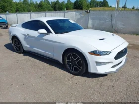 Ford Mustang ECOBOOST PREMIUM FASTBACK