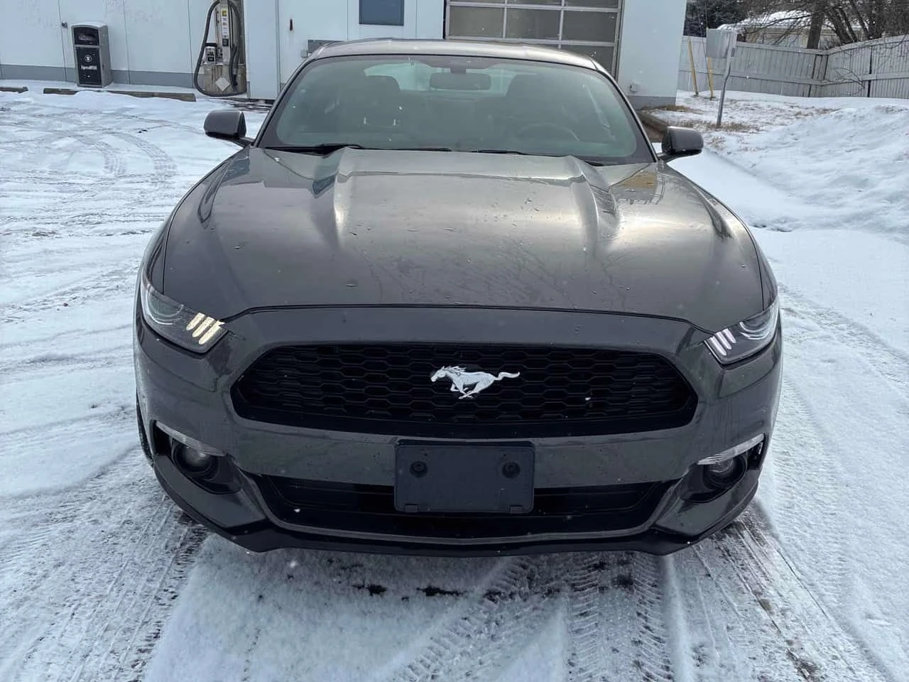 Ford Mustang  V6/CARFAX/KEYLESS - изображение 2