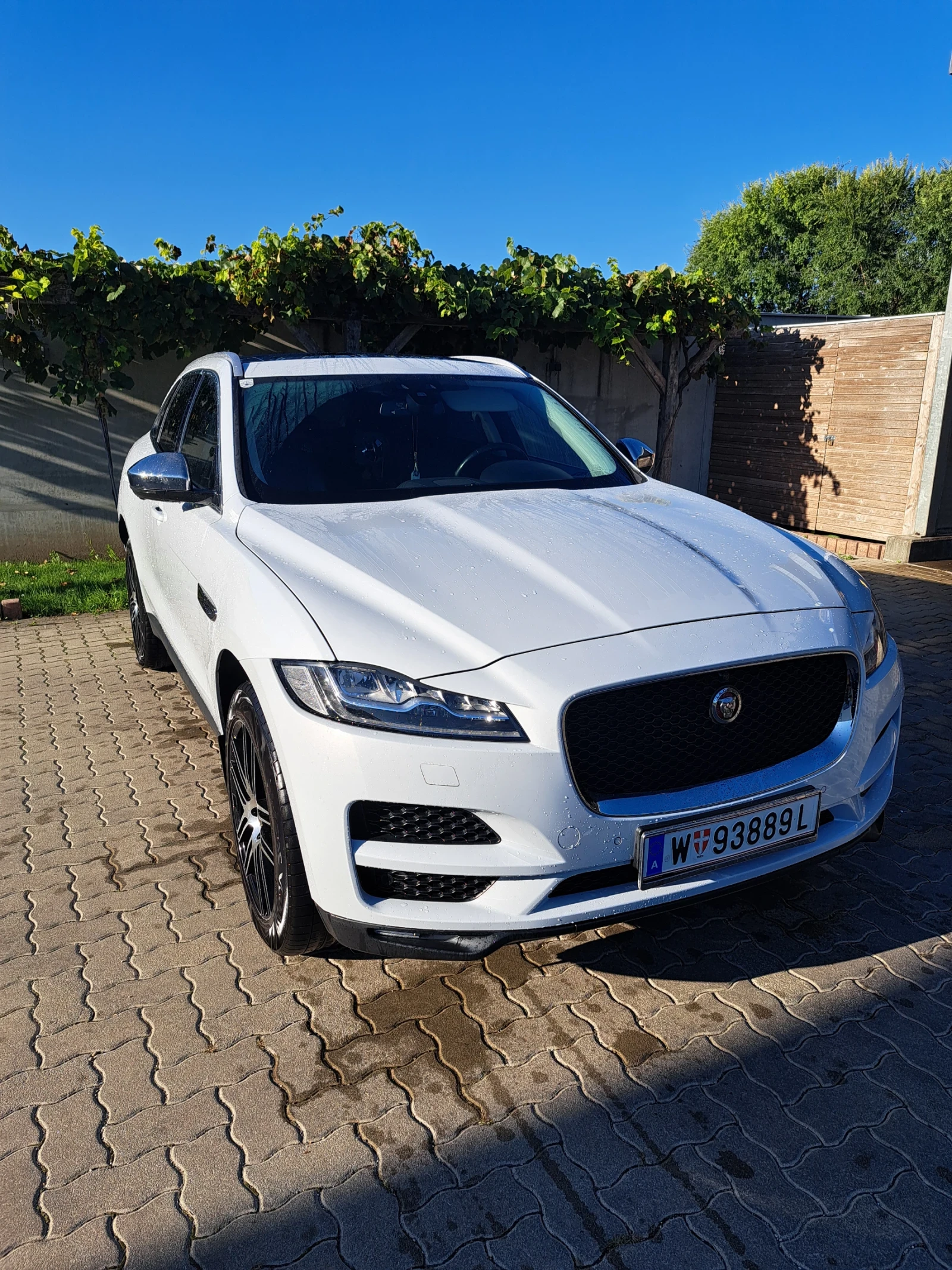 Jaguar F-PACE  - изображение 8