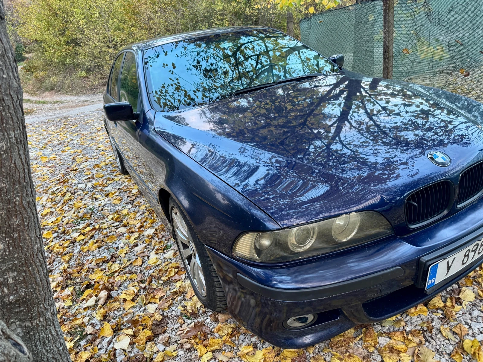 BMW 520 | Mobile.bg � ����������� 7