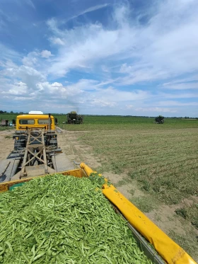 Man 26.361, снимка 6