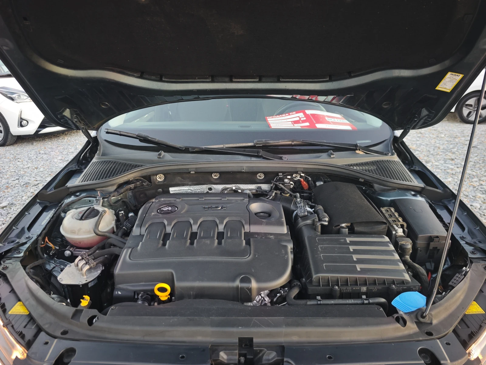 Skoda Octavia 1.6TDI 4X4 110�.� | Mobile.bg � ����������� 16