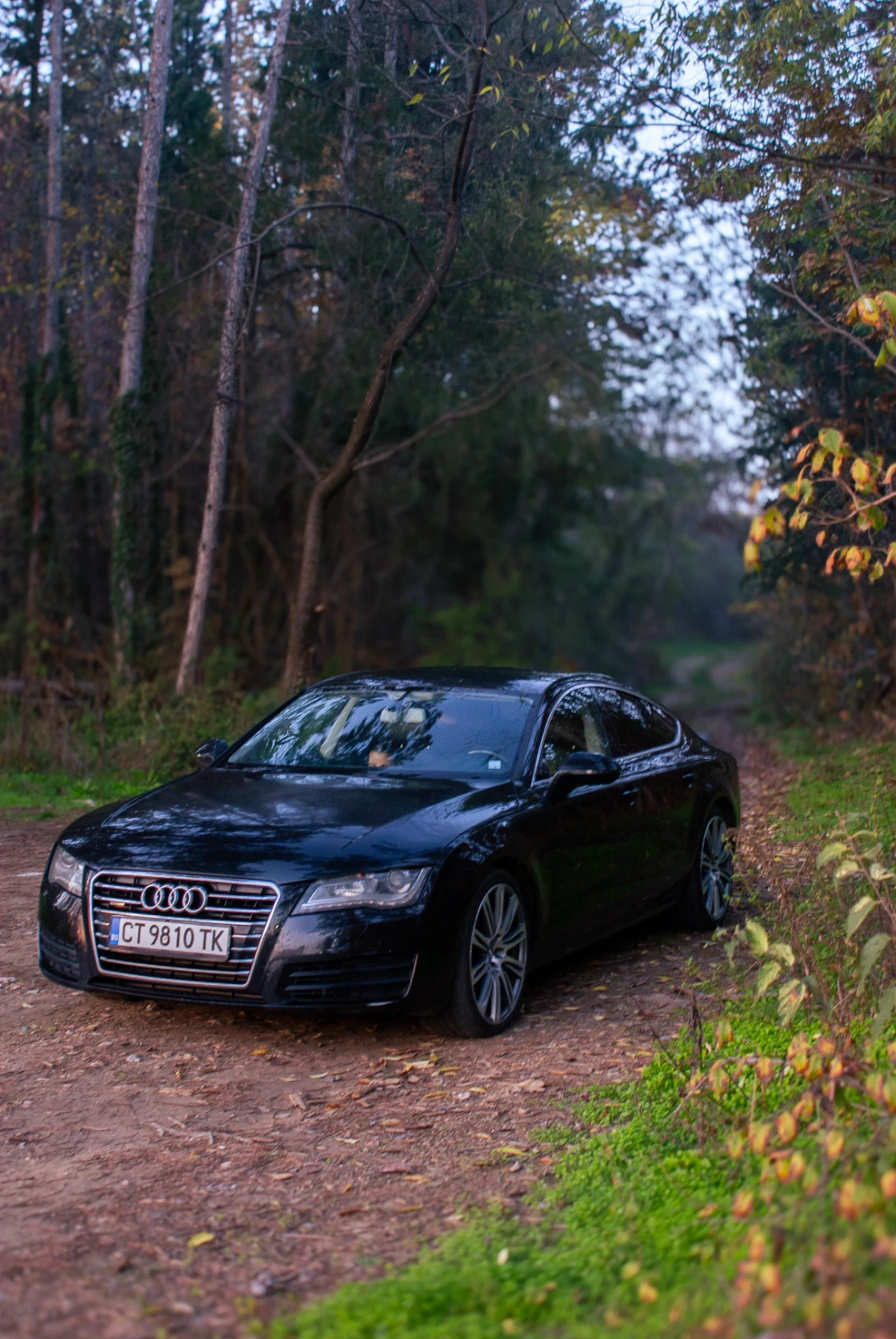 Audi A7 Quattro 245hp 3.0 TDI  - изображение 2