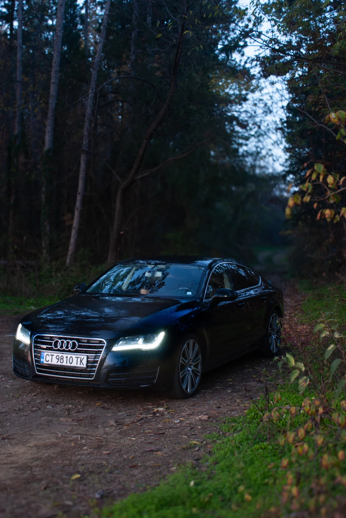 Audi A7 Quattro 245hp 3.0 TDI  - изображение 3