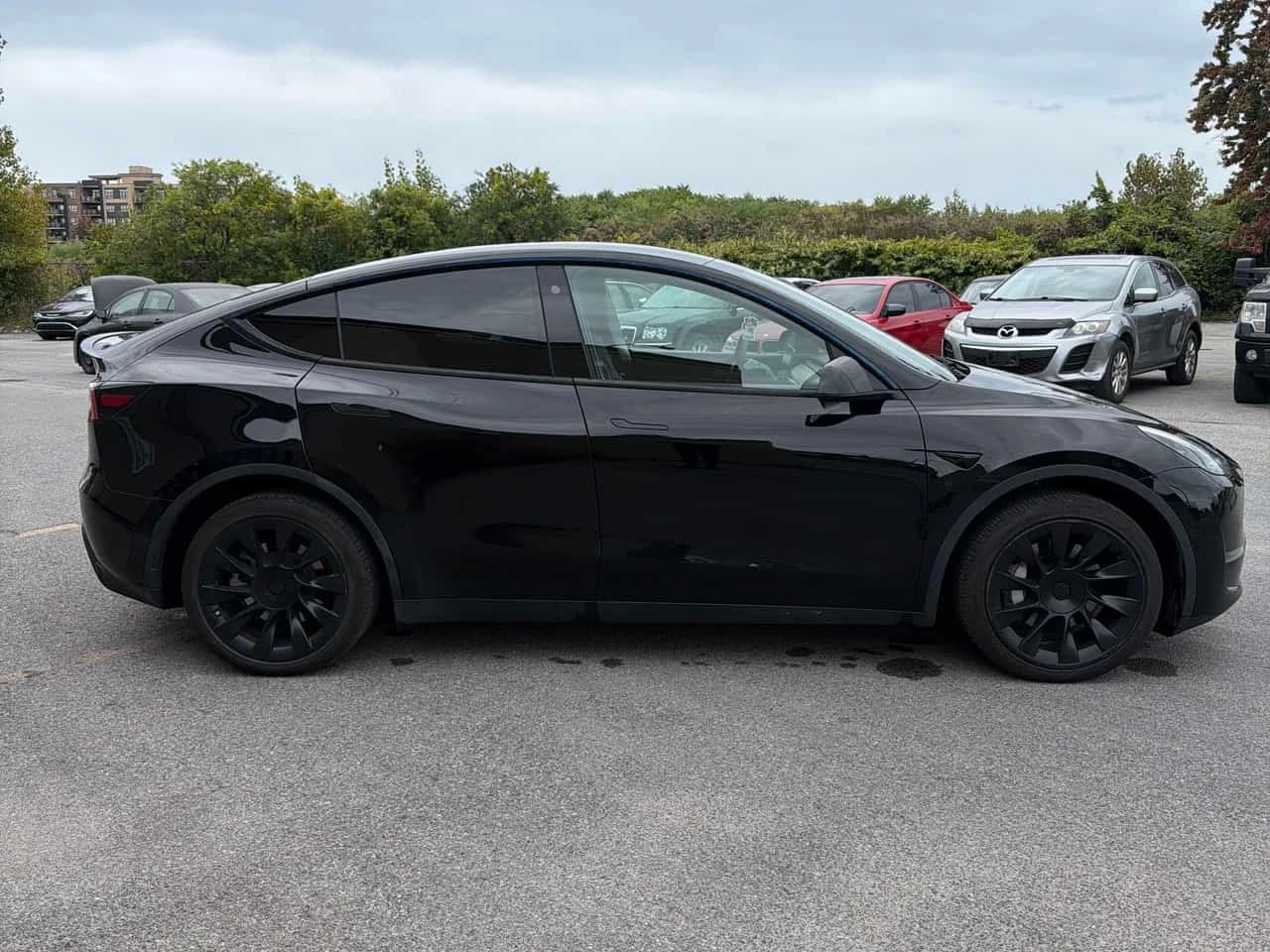 Tesla Model Y * Long Range * CARFAX * АВТОКРЕДИТ* , снимка 3 - Автомобили и джипове - 56177097