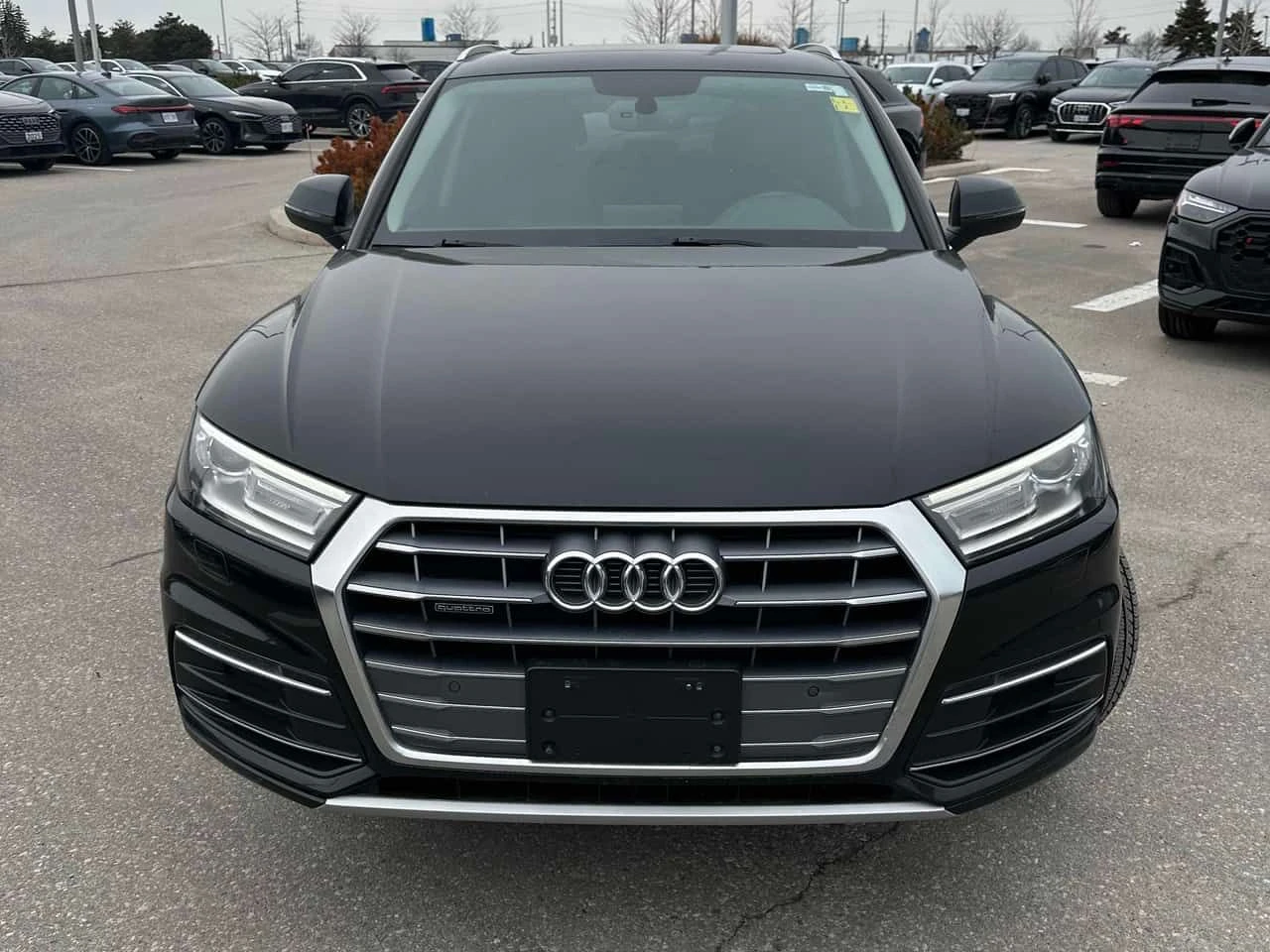 Audi Q5  Progressiv / ���� �� ������ / CAMERA / ��������  | Mobile.bg � ����������� 6
