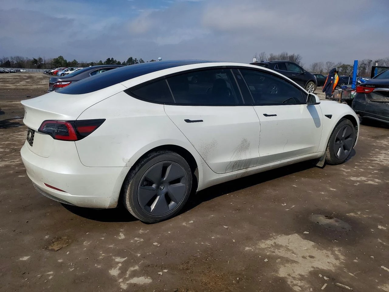 Tesla Model 3, снимка 3 - Автомобили и джипове - 54664123