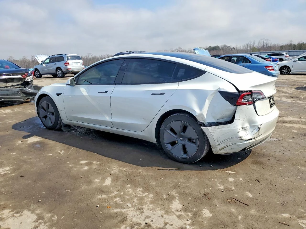 Tesla Model 3, снимка 2 - Автомобили и джипове - 54664123