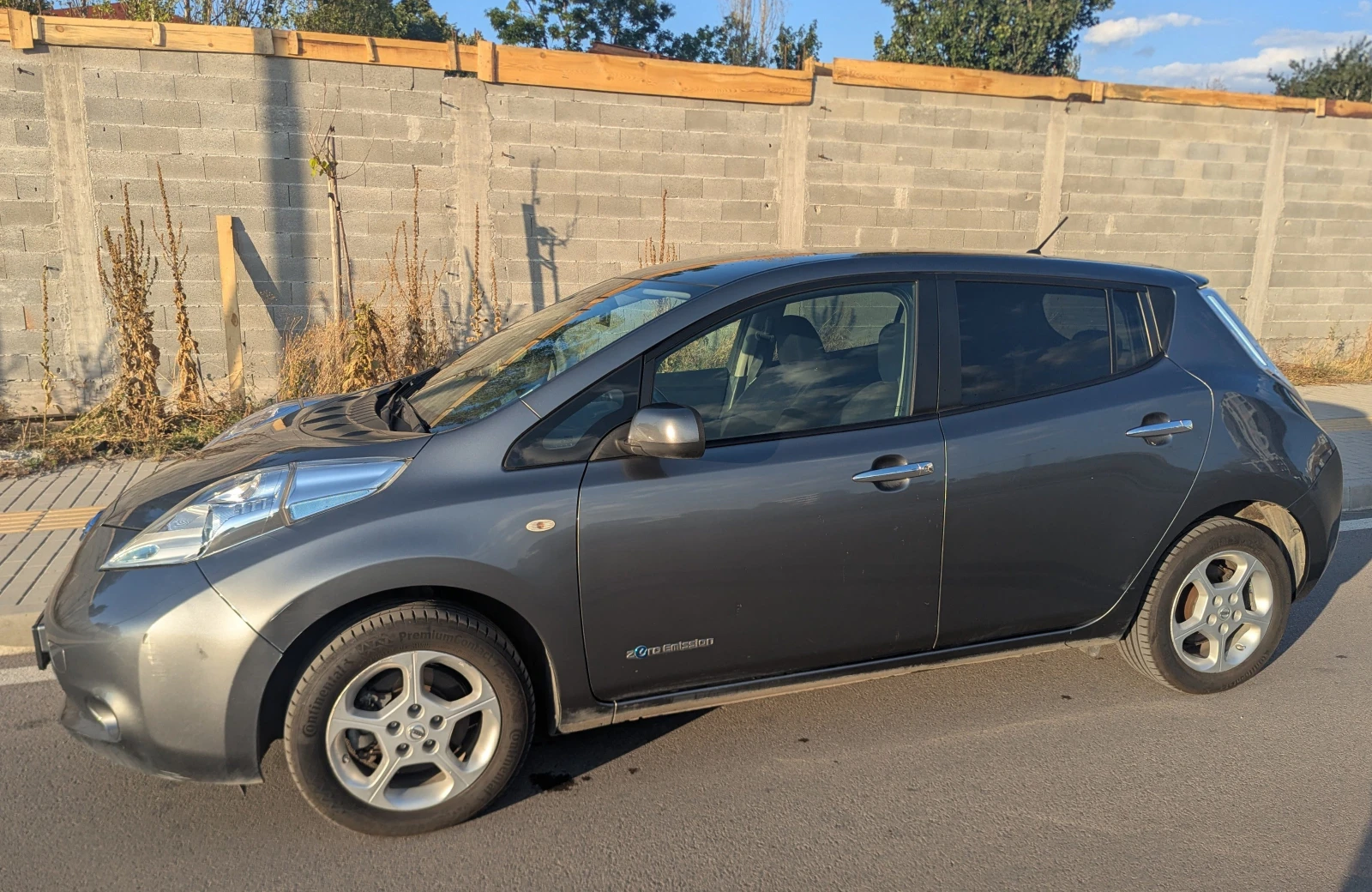Nissan Leaf   - изображение 2