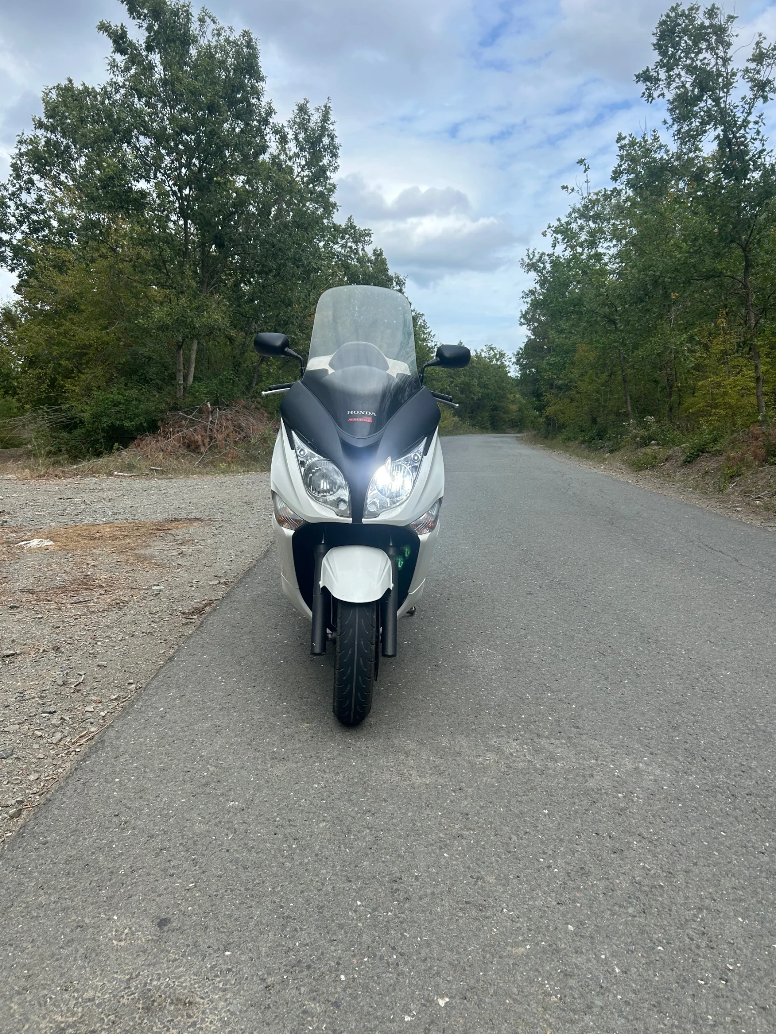 Honda Silver Wing  - изображение 3