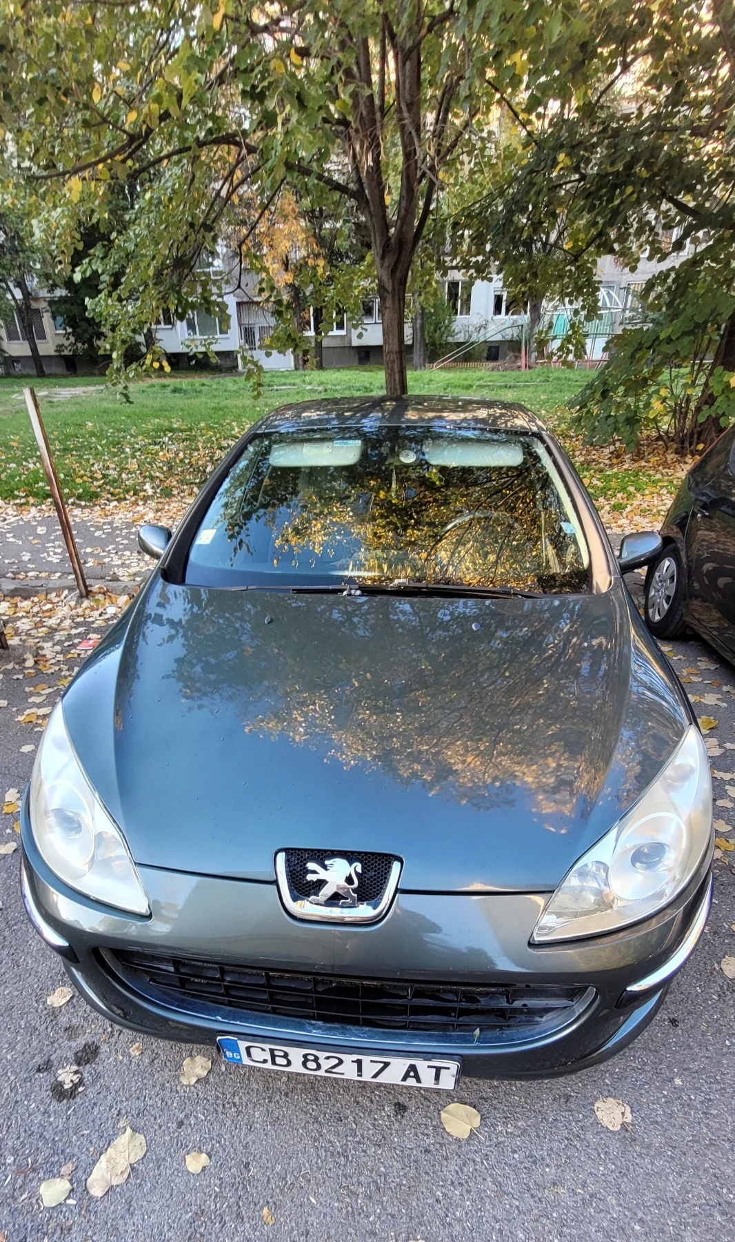 Peugeot 407 1.6 hdi - изображение 2
