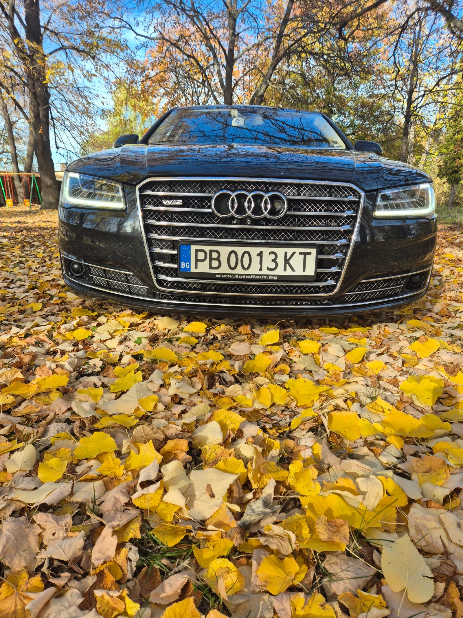 Audi A8 A8 D4 W12L - изображение 3