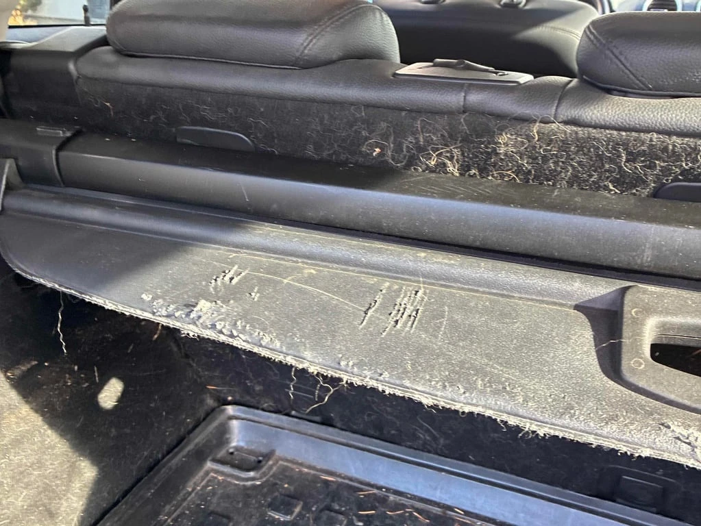 Mercedes-Benz ML 300 * 3.0L BlueTEC * CARFAX * ���� �� �� | Mobile.bg � ����������� 15