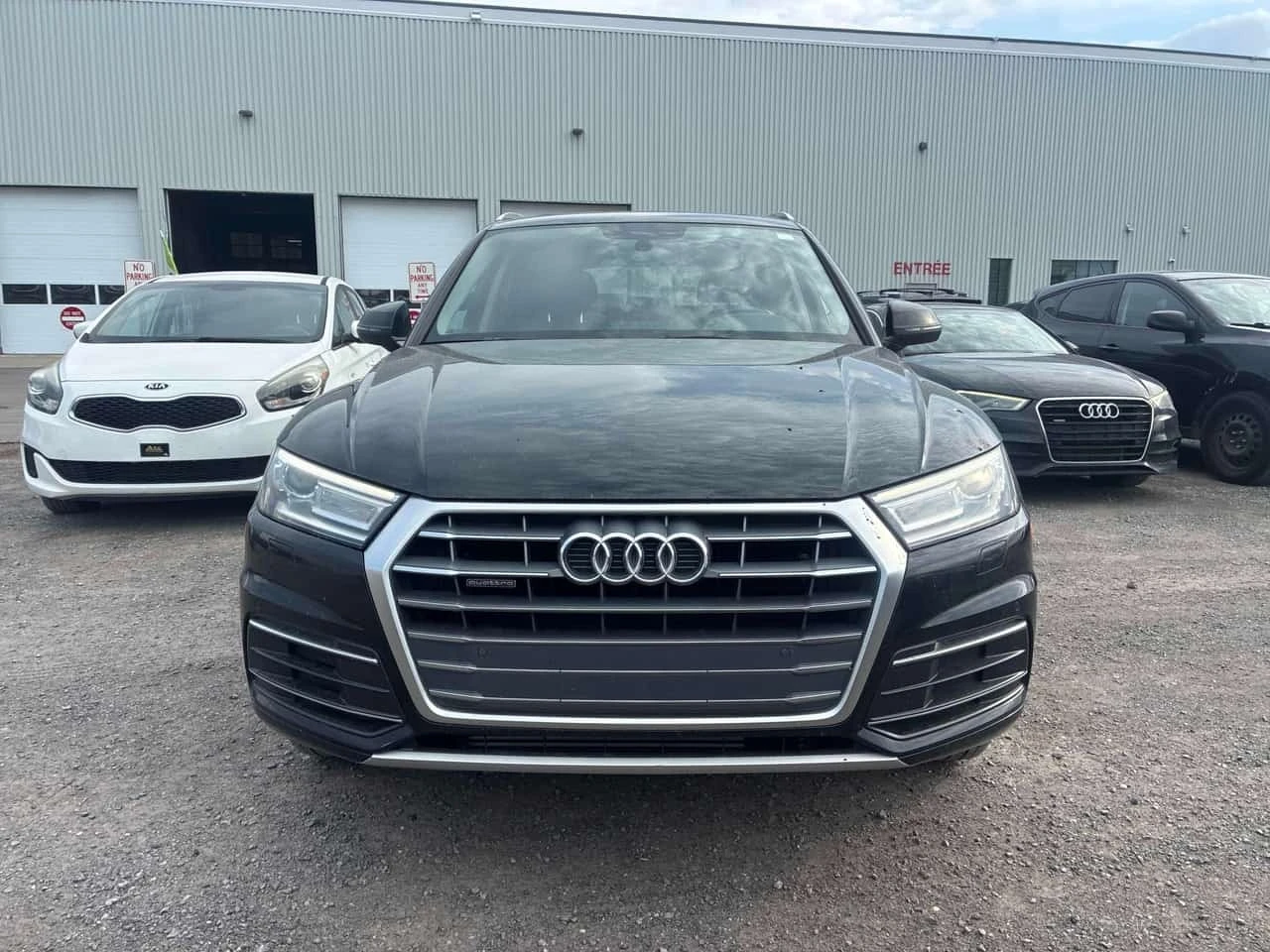 Audi Q5 Progressiv | CARFAX | OT ���������������� �� AUDI | Mobile.bg � ����������� 2