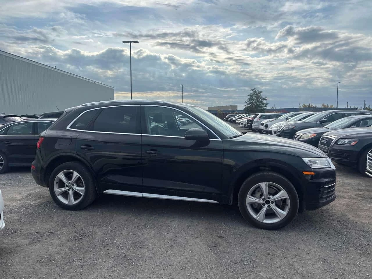 Audi Q5 Progressiv | CARFAX | OT ���������������� �� AUDI | Mobile.bg � ����������� 4