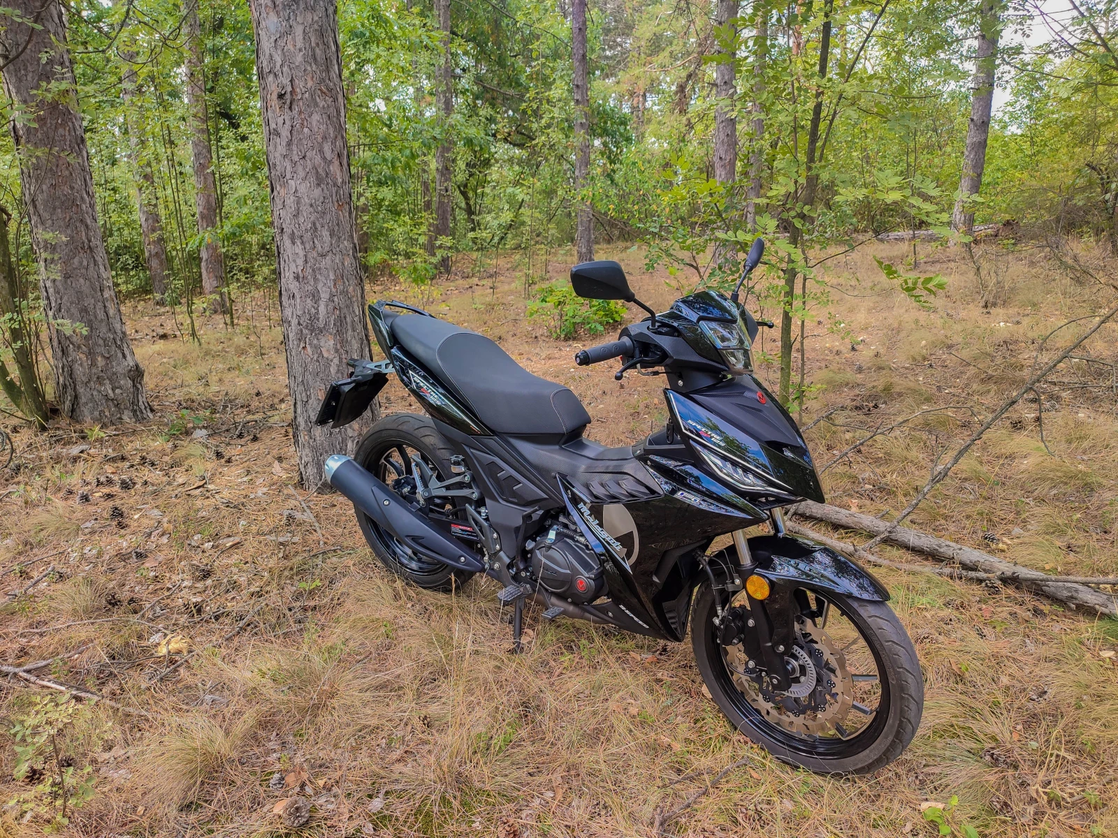 Malaguti 125 Spectre GP - изображение 9