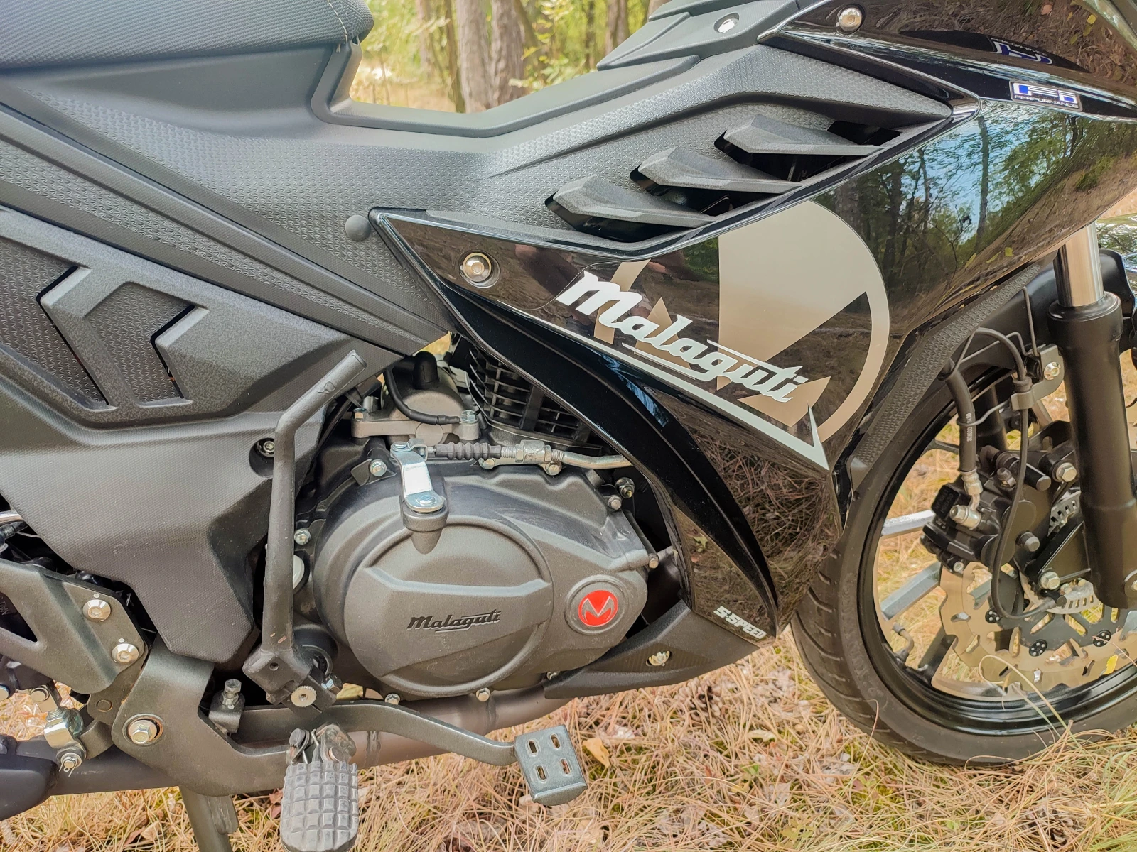 Malaguti 125 Spectre GP - изображение 6