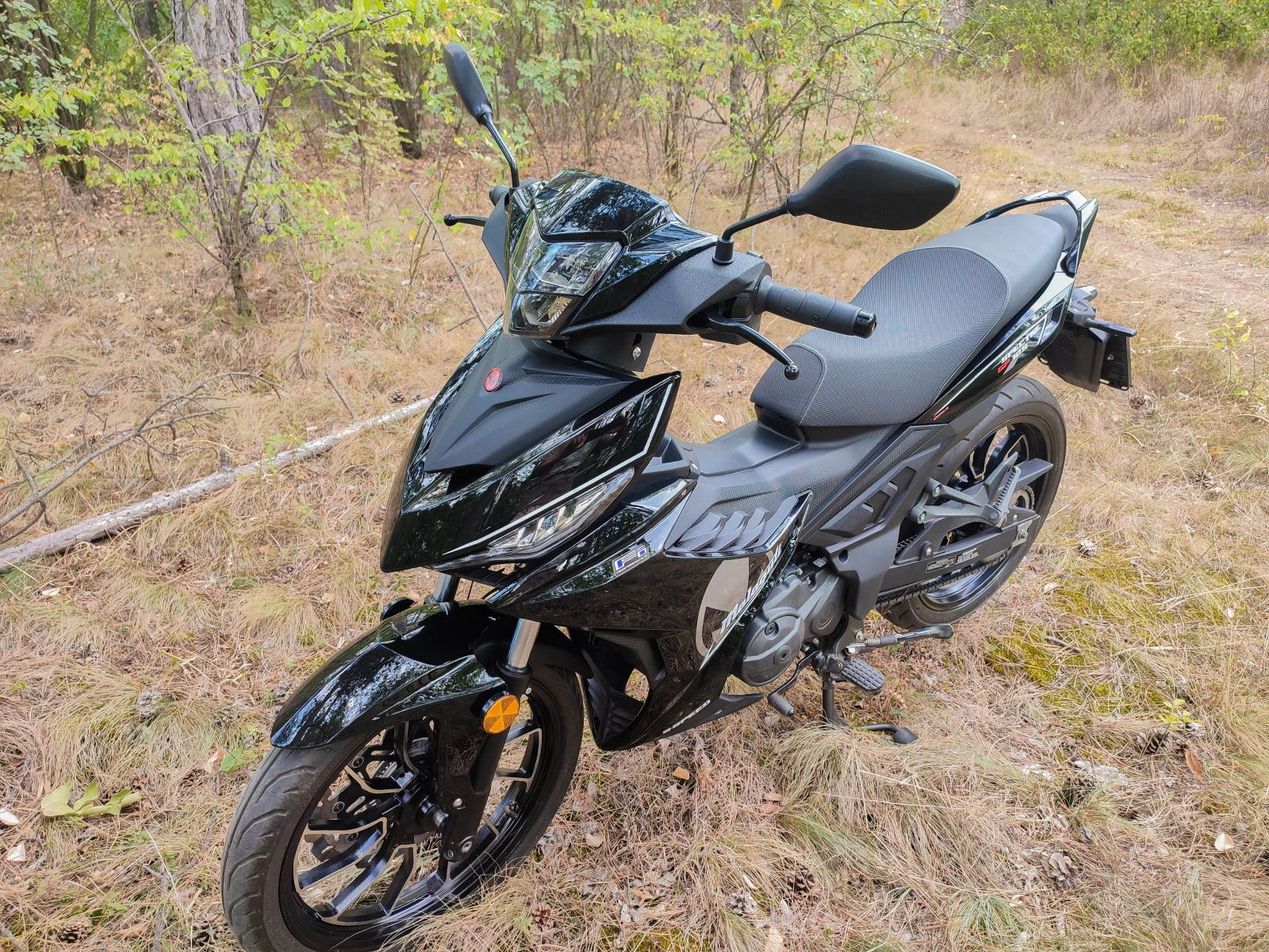 Malaguti 125 Spectre GP - изображение 5